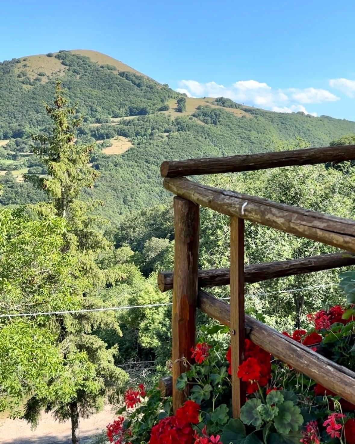 Agriturismo Pettino กัมเปลโล ซุล กลีตุนโน ภายนอก รูปภาพ